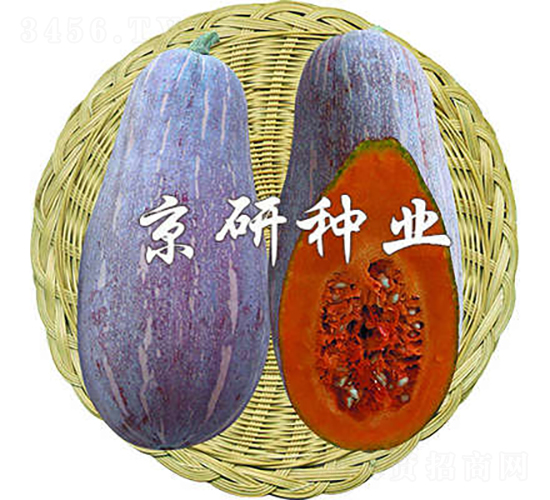 ����1̖(h��o)-�ϹϷN��-���зN�I(y��)