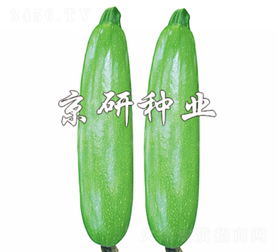 ���8̖(h��o)-�����J�N��-���зN�I(y��)