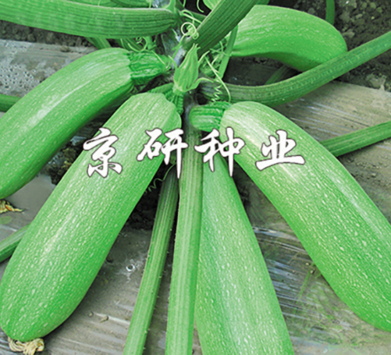 ���22̖-�����J�N��-���зN�I(y��)