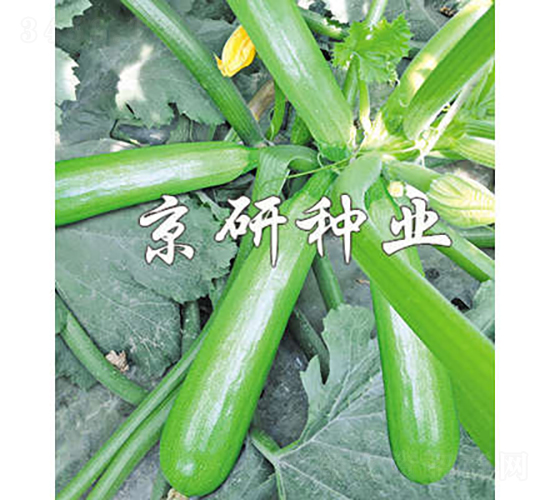 ����CRV4-2-�����J�N��-���зN�I(y��)