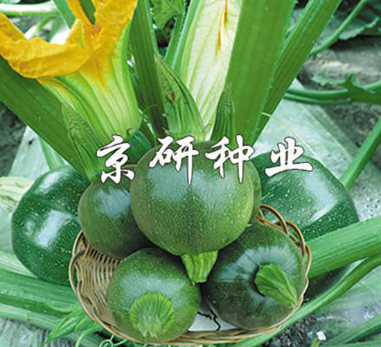 ����2̖-�����J�N��-���зN�I(y��)