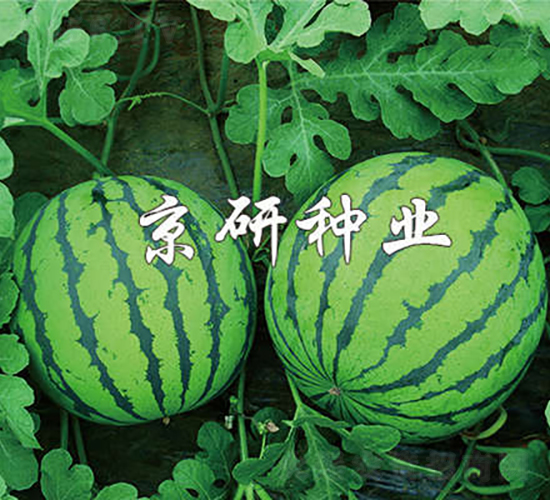 ����7̖-���ϷN��-���зN�I(y��)