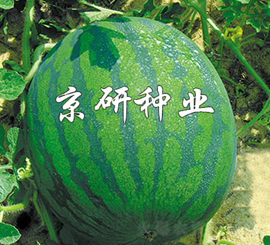 ��(gu��)��2̖(h��o)-���ϷN��-���зN�I(y��)