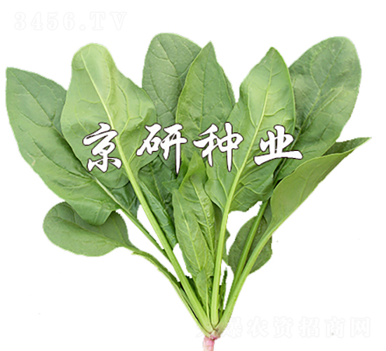 ����186-���˷N��-���зN�I(y��)