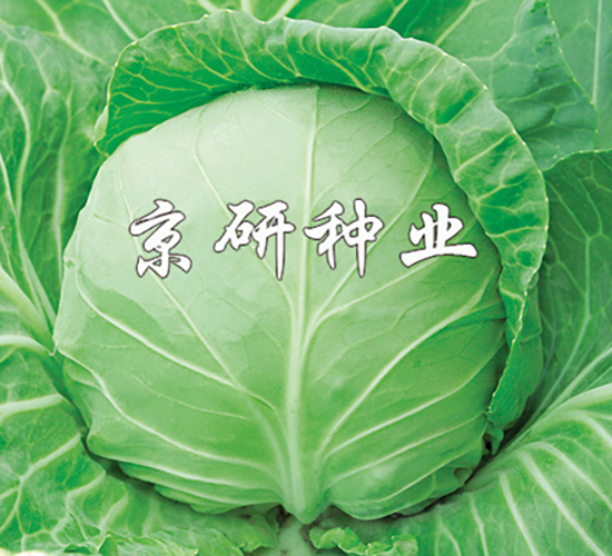 ����3̖-���{�N��-���зN�I(y��)