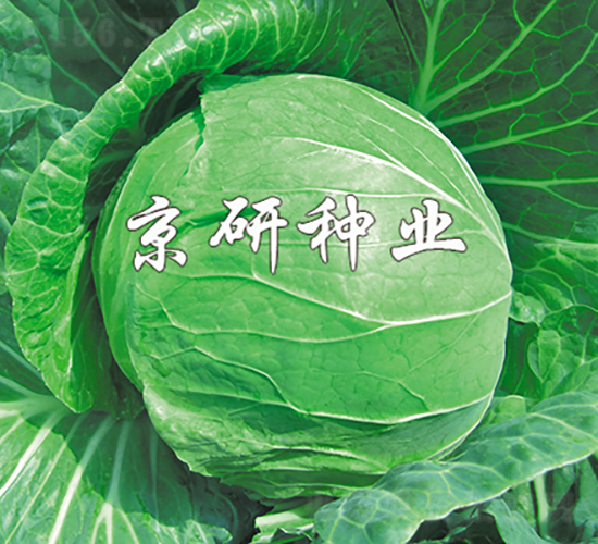 ����5̖-���{(l��n)�N��-���зN�I(y��)