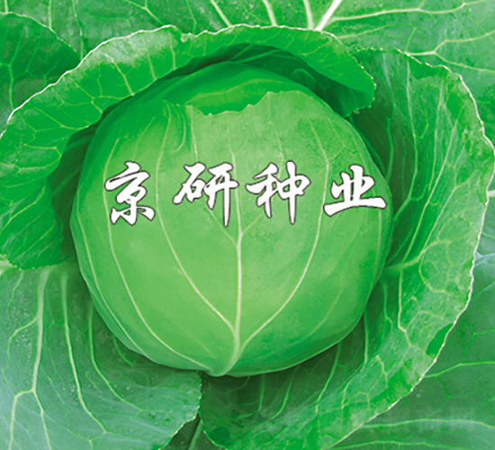 ����6̖-���{(l��n)�N��-���зN�I(y��)