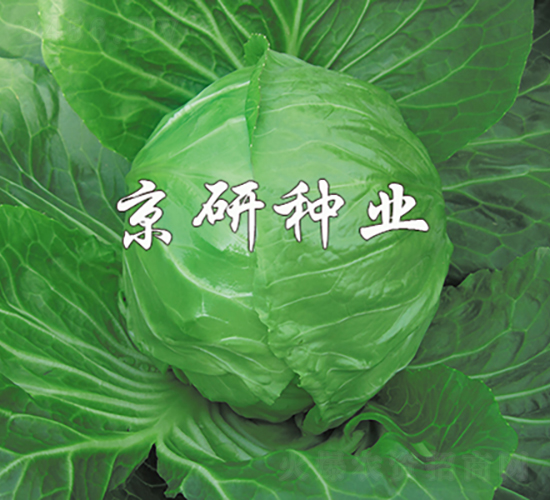 ����7̖-���{(l��n)�N��-���зN�I(y��)