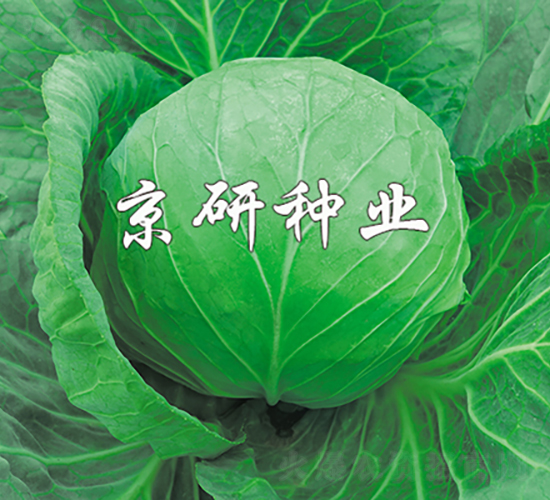 ����8̖(h��o)-���{(l��n)�N��-���зN�I(y��)