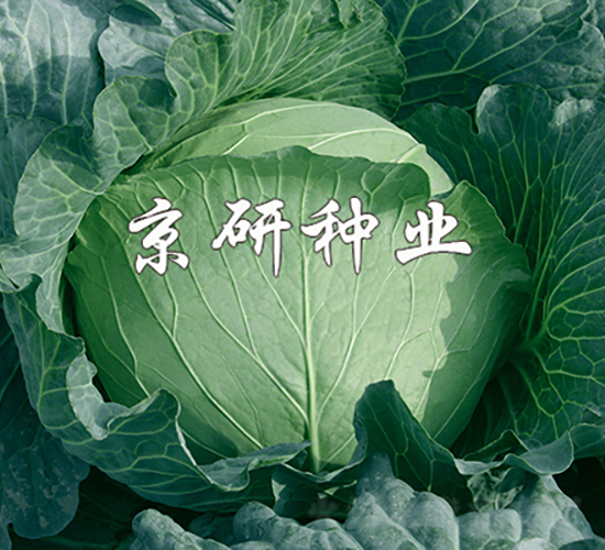 ���5̖(h��o)-���{(l��n)�N��-���зN�I(y��)