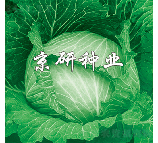 ���1̖-���{�N��-���зN�I(y��)