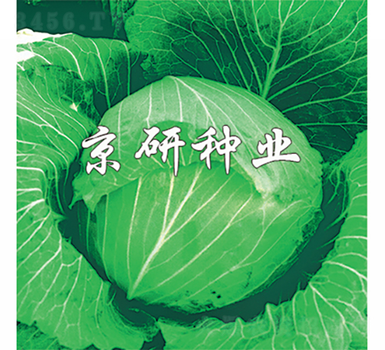 ���2̖-���{�N��-���зN�I(y��)