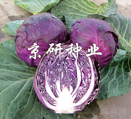 �ϸ�3̖-���{(l��n)�N��-���зN�I(y��)