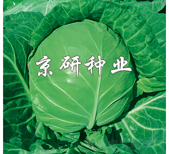 ����2̖-���{�N��-���зN�I(y��)