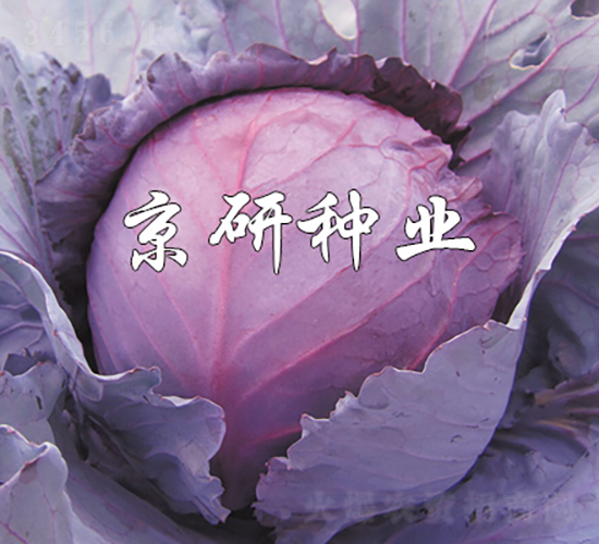 �ϸ�9̖-���{�N��-���зN�I(y��)