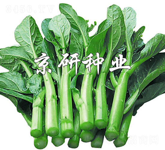 ����80-���ķN��-���зN�I(y��)