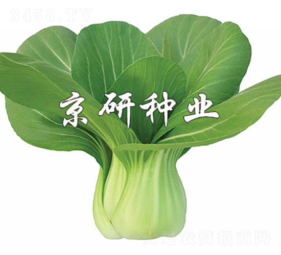 ����2̖-�Ͳ˷N��-���зN�I(y��)