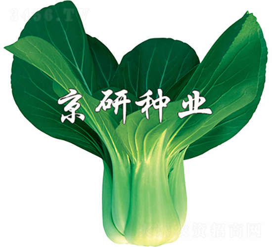 ���G2̖(h��o)-�Ͳ˷N��-���зN�I(y��)