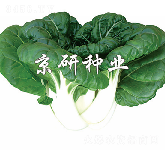 �̰�1̖(h��o)-�Ͳ˷N��-���зN�I(y��)