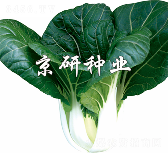 ���к��~3̖-�Ͳ˷N��-���зN�I(y��)