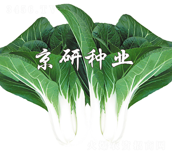 ���к��~5̖(h��o)-�Ͳ˷N��-���зN�I(y��)