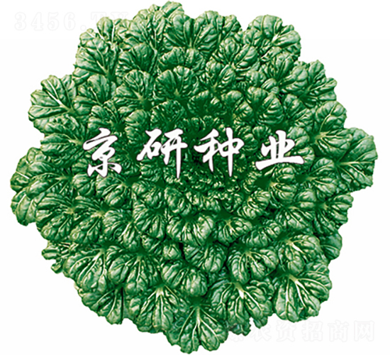 ���G������-�Ͳ˷N��-���зN�I(y��)