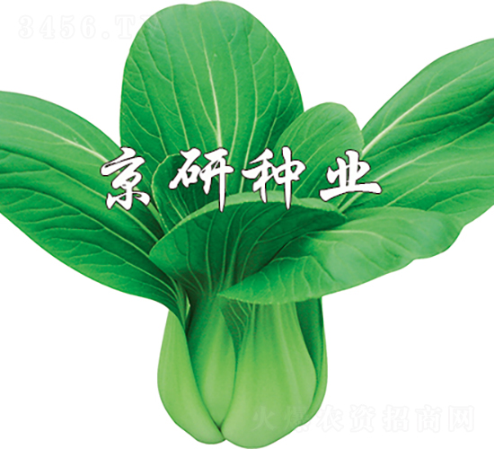 ����3̖-�Ͳ˷N��-���зN�I(y��)