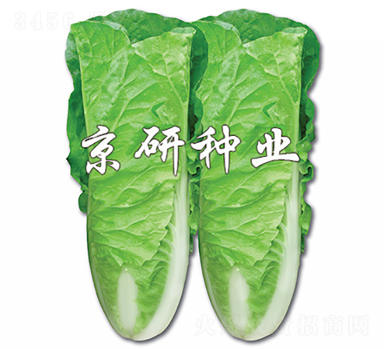 ���п��2̖-�ײ˷N��-���зN�I(y��)