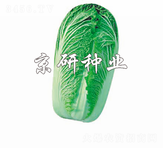 CR������3̖-�ײ˷N��-���зN�I(y��)