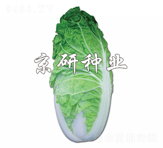 ����5̖(h��o)-�ײ˷N��-���зN�I(y��)