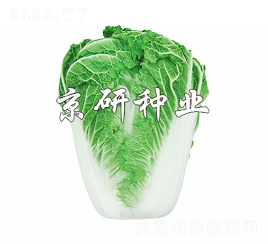 ����14-19-�ײ˷N��-���зN�I(y��)