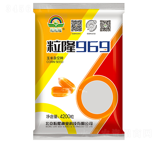 ��¡969-���׷N��-����¡