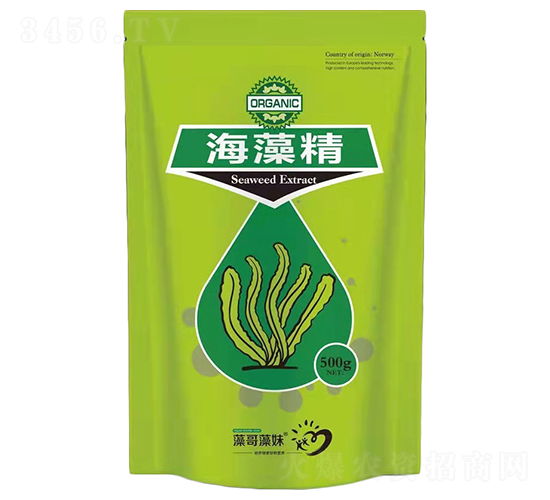 ���徫-������