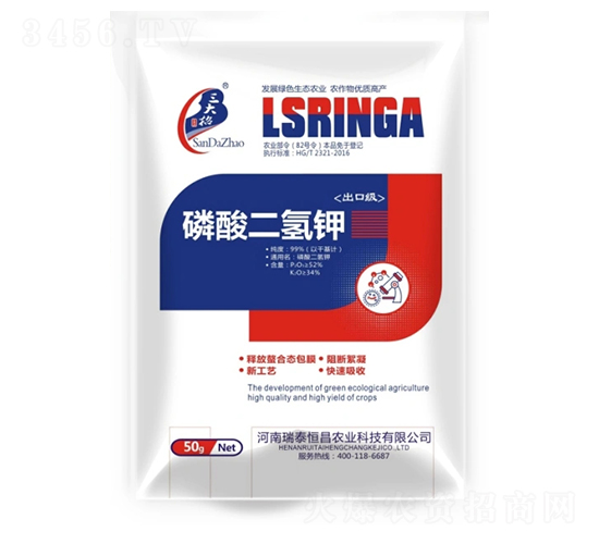 ��������-��̩���