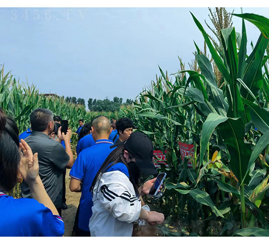 ����777�^Ħ--�͹��S