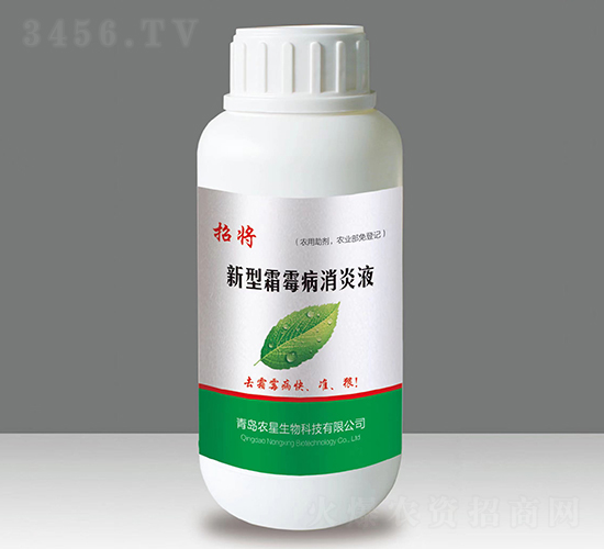 ̧��-�����A