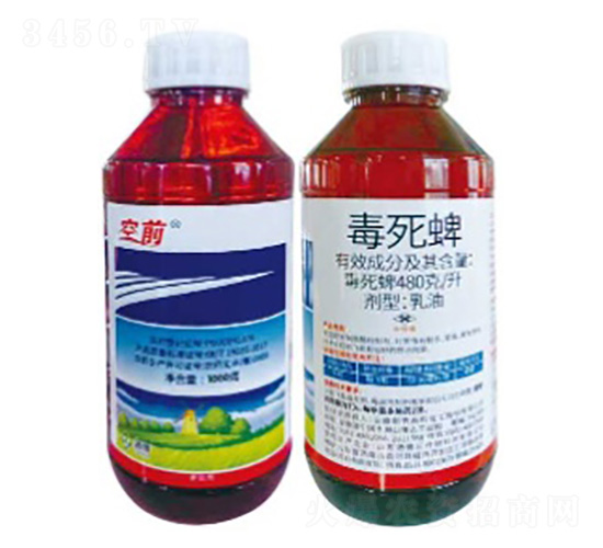 480��/������������-��ǰ-���՘�(l��)