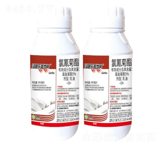 5%�����������-�w�ػ�-���՘�