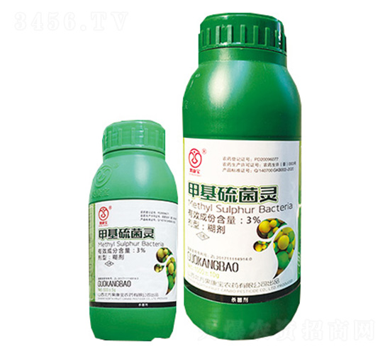 3%�׻�����`-����-������