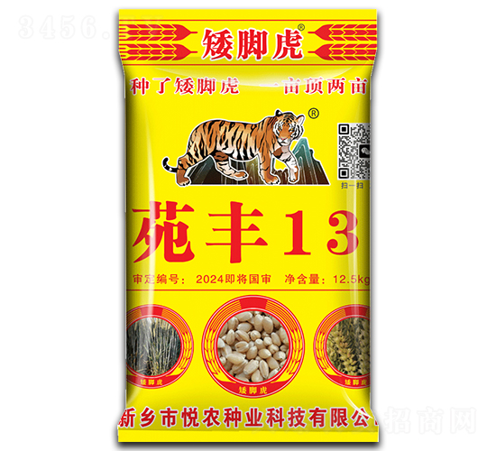 ���w���b