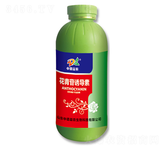 �������T��(d��o)��-�е����r(n��ng)