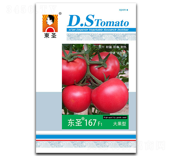 �|ʥ167-���ѷN��-�|ʥ