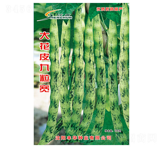 ��Ƥ������-�ܶ��N��-�S�A�N�I(y��)