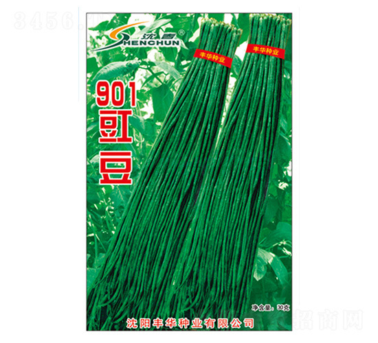 901����-�����N��-�S�A�N�I(y��)