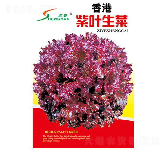 ������~����-���˷N��-�S�A�N�I(y��)