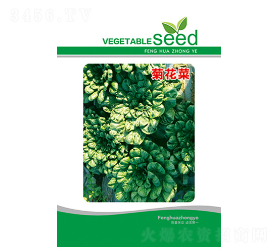 �򴺾ջ��˷N��-�S�A�N�I(y��)