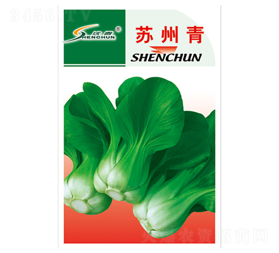 ���K����N��-�S�A�N�I(y��)