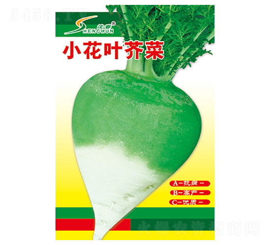 С���~���-�}���N��-�S�A�N�I(y��)