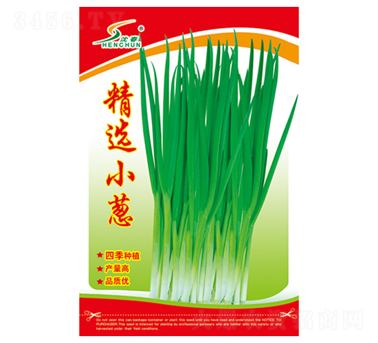 ���xС�[-С�[�N��-�S�A�N�I(y��)