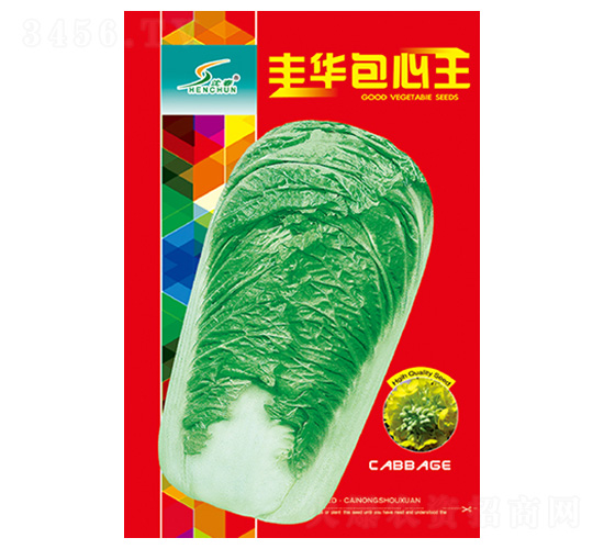 �S�A������-�ײ˷N��-�S�A�N�I(y��)